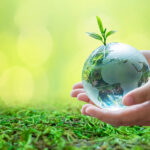 Sustainable and Ethical Investing